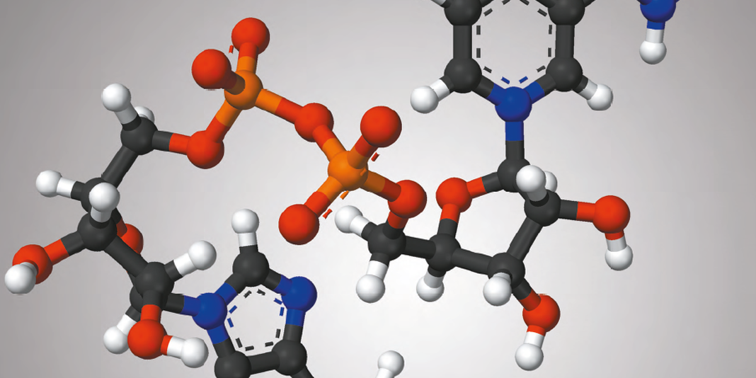 The Magic of NAD+: A Major Player in Anti-Ageing.