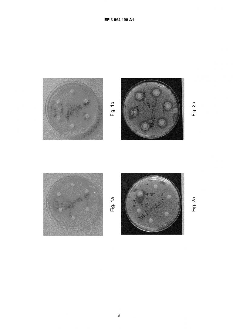 Patent_Silicium_subtilis_Jochen_Seipel_EP20194557NWA1_page-0008[1]